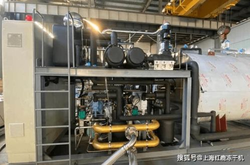 新型食品真空冷冻干燥机