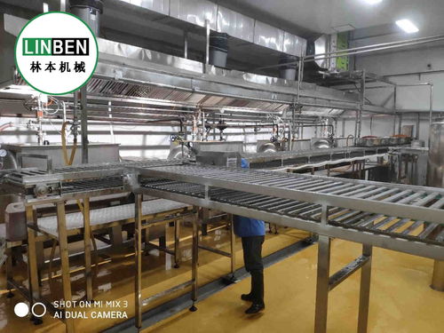 央厨设备 学生餐整套生产线