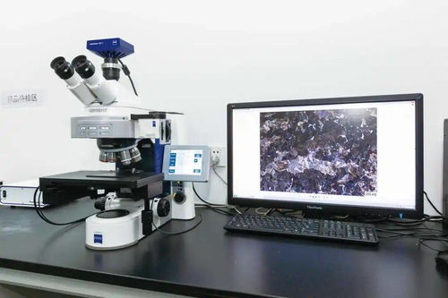 永钢 硬核实力的背后——获江苏省省长质量奖的汽轮机研发与销售之道