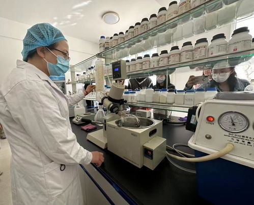 宁夏化妆品风靡俄罗斯市场，新型汽轮机研发与销售齐头并进