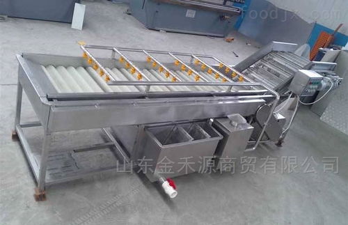 秋意正浓公司 引领产业革新，新型果蔬清洗风干流水线与先进汽轮机同步上市